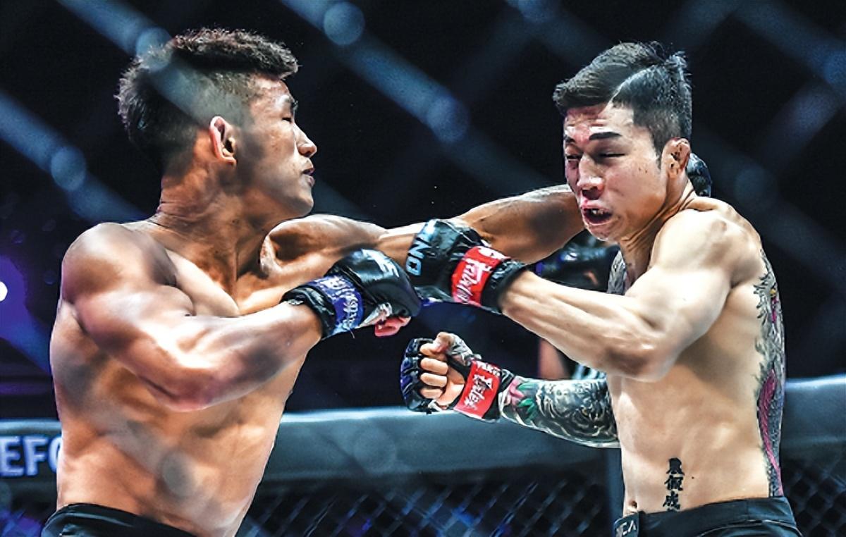 王中王07期指一生肖，深度解析與預(yù)測(cè)，王中王07期指一生肖，深度解析、預(yù)測(cè)與運(yùn)勢(shì)探討