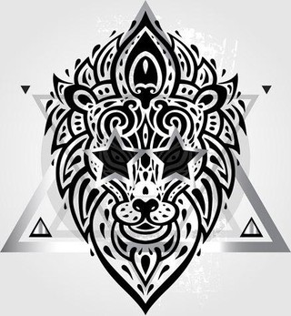 澳門四不像網(wǎng)，探索與解析，澳門四不像網(wǎng)深度探索與解析