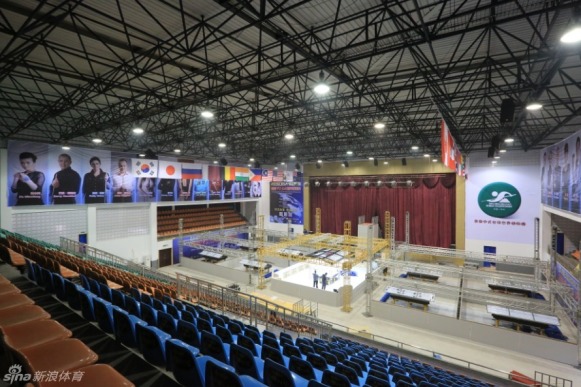 王中王一肖一馬中特平臺，探索與解析，王中王一肖一馬中特平臺深度探索與解析