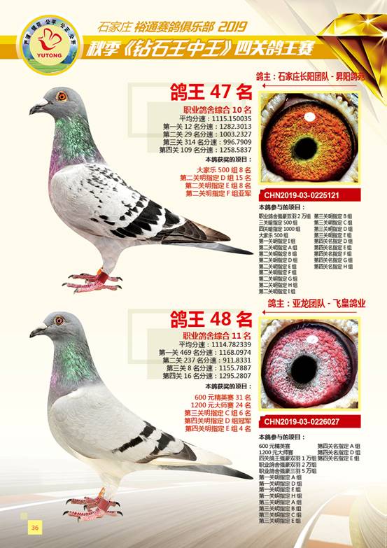 王中王一肖特四，深度解析與SEO優(yōu)化策略，王中王一肖特四深度解析與SEO優(yōu)化策略探討