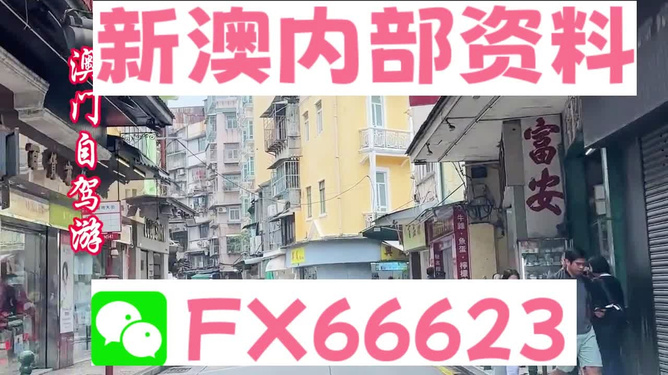 新澳精準(zhǔn)資料免費(fèi)提供，探索與解析，新澳精準(zhǔn)資料解析與探索，免費(fèi)提供的深度洞察