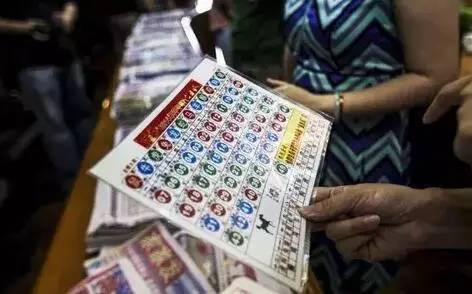 香港王中王開獎(jiǎng)結(jié)果查詢，今晚開獎(jiǎng)盛況一覽，香港王中王開獎(jiǎng)結(jié)果查詢，今晚盛況揭曉，最新開獎(jiǎng)信息一覽