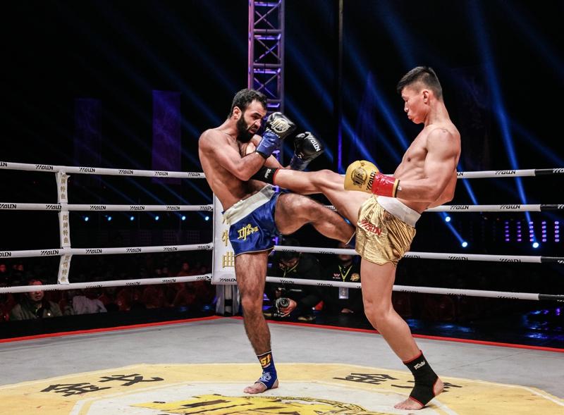 王中王網(wǎng)四肖主一碼，深度解析與SEO優(yōu)化策略，王中王網(wǎng)四肖主一碼，深度解析與SEO優(yōu)化策略全攻略