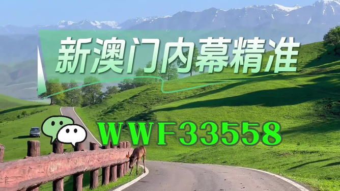 澳門精準(zhǔn)免費大全，探索未來的預(yù)測與機遇（2025年展望），澳門未來展望，精準(zhǔn)預(yù)測與機遇探索（2025年）