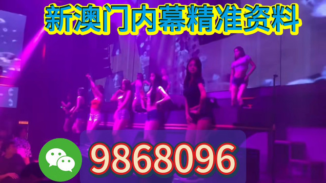 新澳門今晚開特馬，探索澳門博彩文化背后的秘密，澳門博彩文化揭秘，探尋特馬背后的秘密