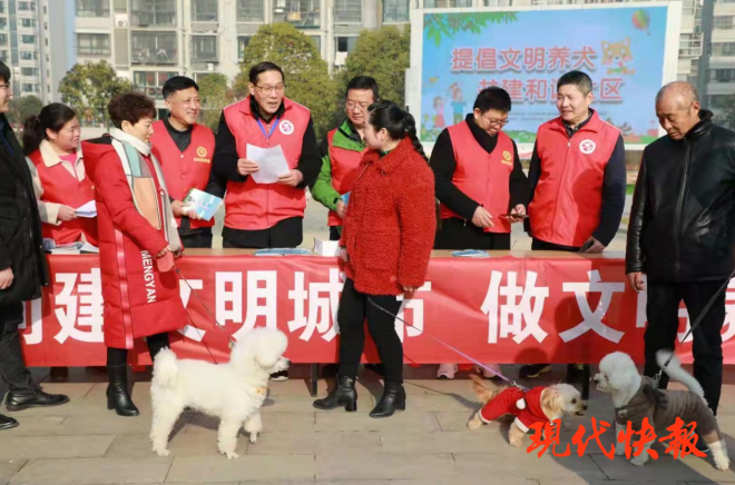 急先鋒澳門六肖，深度解析與探索，澳門六肖急先鋒，深度解析與探索