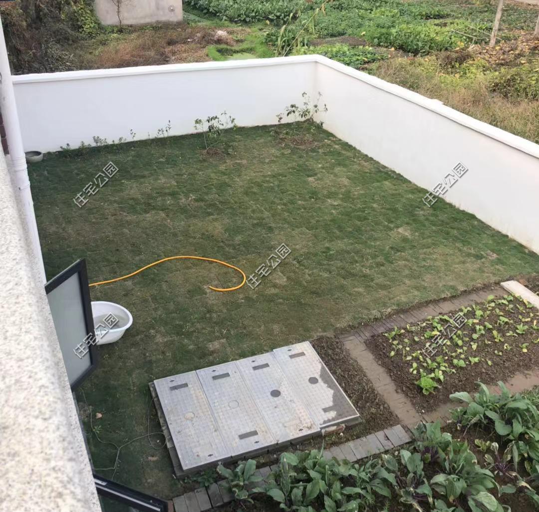 一肖中2碼，揭秘彩票背后的秘密與策略，揭秘彩票背后的策略與秘密，一肖中兩碼解析