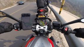 王中王310期指一生肖——揭秘生肖運(yùn)勢(shì)與人生軌跡，揭秘生肖運(yùn)勢(shì)與人生軌跡，王中王310期指一生肖探討返回頂部