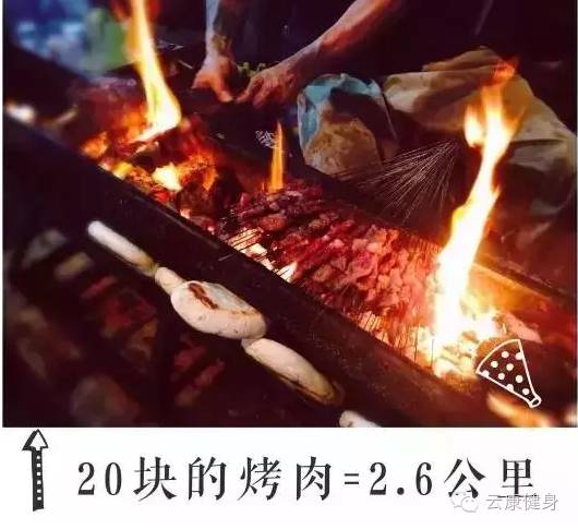 王中王313期指一生肖——揭秘生肖運勢與人生軌跡的獨特聯(lián)系，揭秘生肖運勢與人生軌跡的獨特聯(lián)系，王中王313期指一生肖詳解