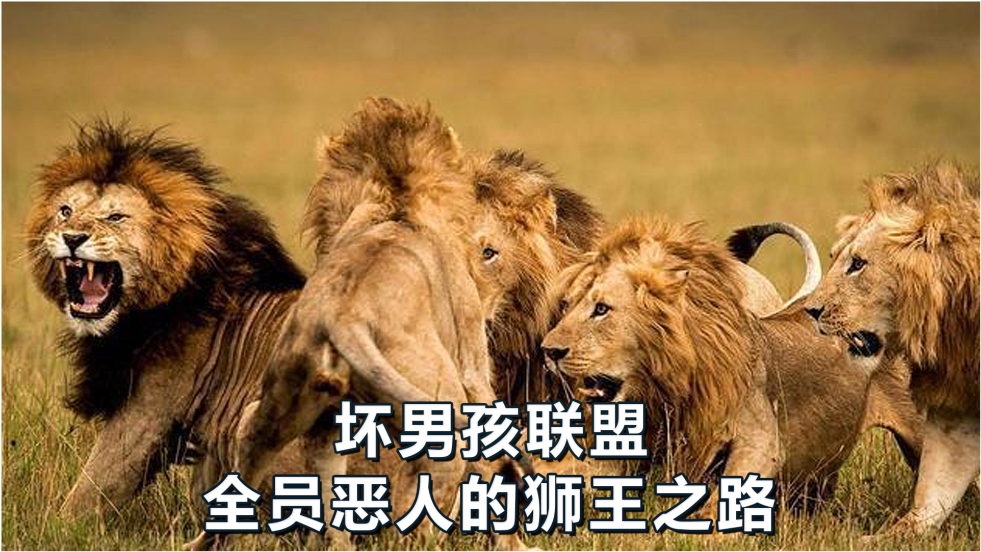 王中王必中一肖四不像圖——深度解析與探索，王中王必中一肖四不像圖深度解析與探索揭秘