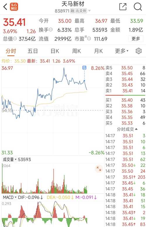 天馬微電子股票，投資前景深度解析，天馬微電子股票投資前景深度解析