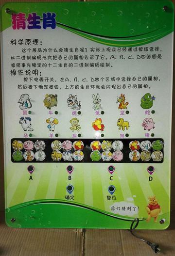 王中王猜一生肖，揭秘生肖文化中的奧秘與趣味，揭秘生肖文化之奧秘趣味，王中王猜一生肖探索之旅