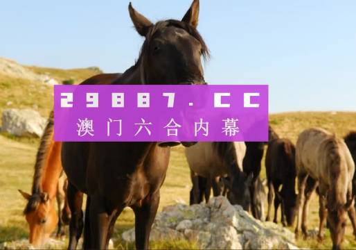 澳門八百圖庫開獎最快——全面解析與實用指南，澳門八百圖庫開獎最快，全面解析與實用指南手冊