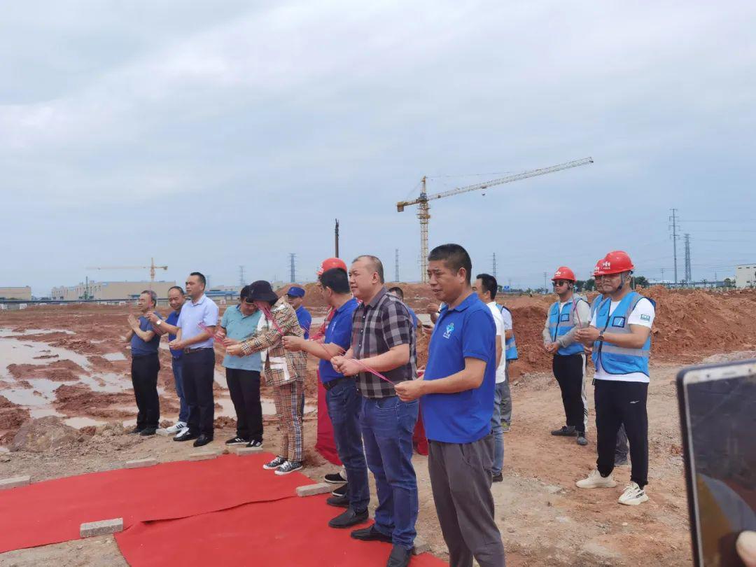 李子園股票，投資潛力與前景展望，李子園股票，投資潛力與未來前景展望