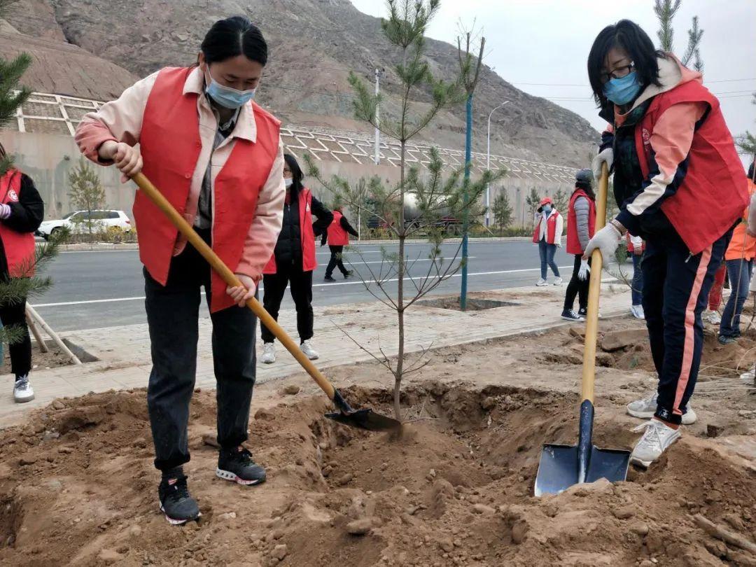 天下彩天天空彩資料免費(fèi)大全管家，探索與解析，天下彩天天空彩資料大全管家，深度探索與解析