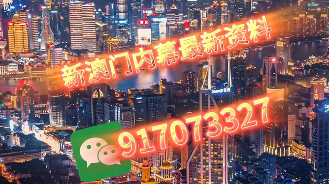 澳門今晚必開一肖——揭秘生肖彩票的魅力與策略，澳門生肖彩票揭秘，策略與魅力探索