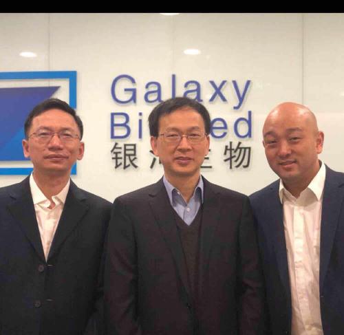 關(guān)于代碼000806的奧秘，深度解析與SEO優(yōu)化策略，代碼000806奧秘揭秘，深度解析與SEO優(yōu)化策略探討