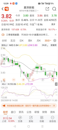 嘉澤新能源股票，投資前景深度解析，嘉澤新能源股票投資前景深度解析