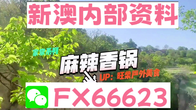 新澳精準(zhǔn)資料免費(fèi)提供，探索與實(shí)踐的指南，新澳精準(zhǔn)資料免費(fèi)分享，探索與實(shí)踐的導(dǎo)航指南