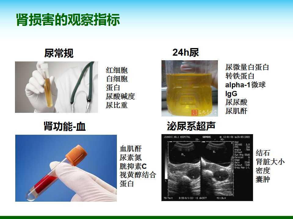 尿酸水平升高與腎臟健康，尿酸460是否意味著腎臟已經(jīng)受損？，尿酸水平升高與腎臟健康關(guān)系解析，尿酸460是否預(yù)示腎臟受損？