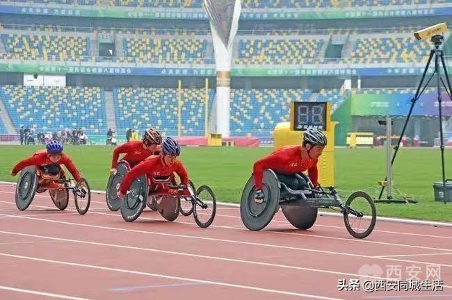 澳門精準(zhǔn)預(yù)測與免費(fèi)大全，探索未來的新澳門（2025展望），澳門未來展望，精準(zhǔn)預(yù)測與免費(fèi)大全（2025年展望）