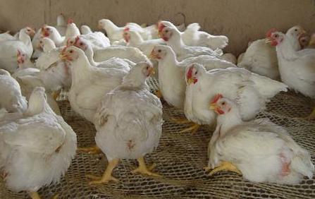 關(guān)于股票代碼002299的深入解析與前景展望，股票代碼002299深度解析與未來前景展望