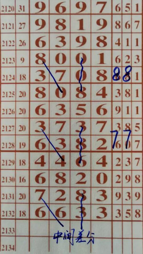 79期王中王三肖一碼，深度解析與SEO優(yōu)化策略，79期王中王三肖一碼深度解析與SEO策略全解析