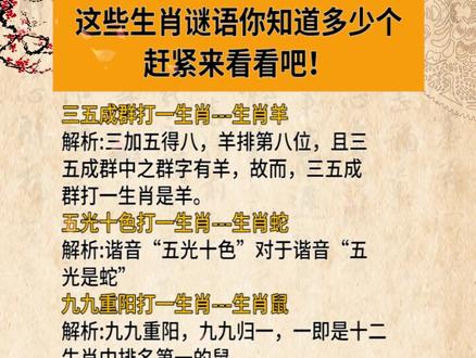 謎語(yǔ)王中王打一生肖——揭秘背后的神秘故事與生肖之謎，揭秘生肖之謎，謎語(yǔ)王中王背后的神秘故事與生肖解密