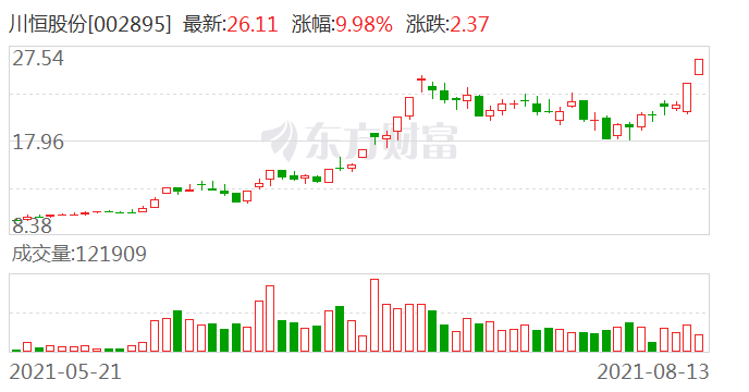 川恒股份股票，深度解析與發(fā)展前景展望，川恒股份股票深度解析與未來展望