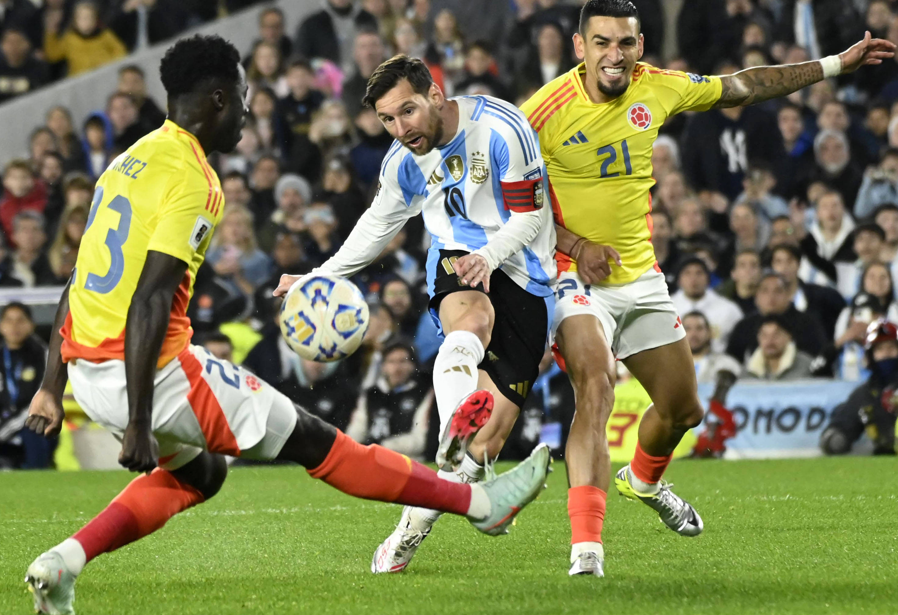 王中王077期一肖特種，深度解析與SEO優(yōu)化策略，王中王077期生肖特種深度解析與SEO優(yōu)化策略探討