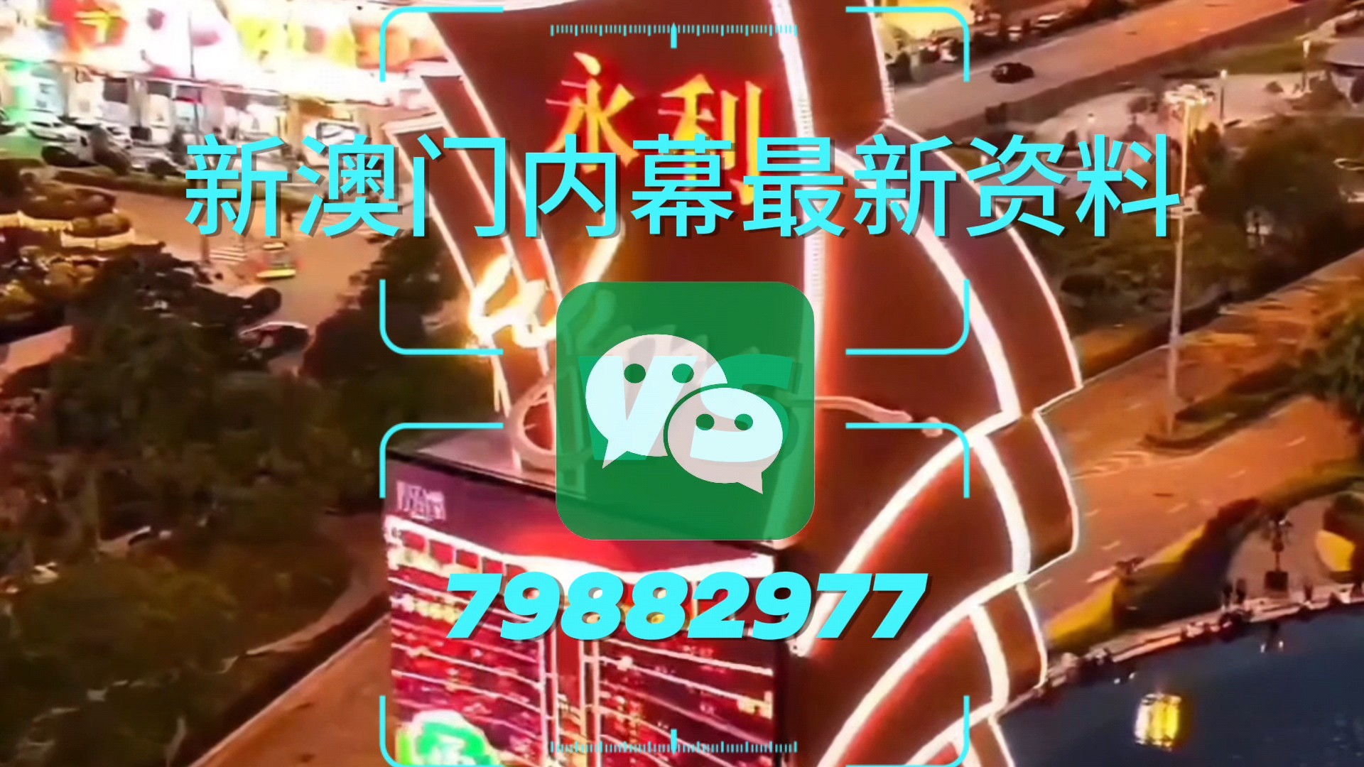 新澳門一肖一特一中，探索與解析，新澳門一肖一特一中，深度探索與解析