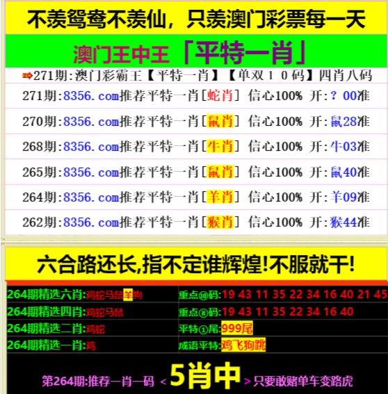 一肖中特兔費公開資料王中王——揭秘彩票背后的秘密，揭秘彩票背后的秘密，一肖中特兔費公開資料王中王