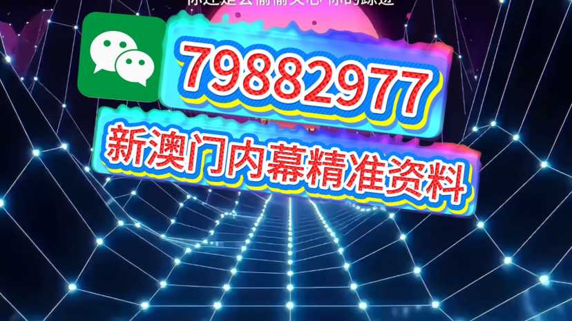 內部二肖二碼，揭秘背后的秘密與策略優(yōu)化，內部二肖二碼揭秘，秘密與策略優(yōu)化探究