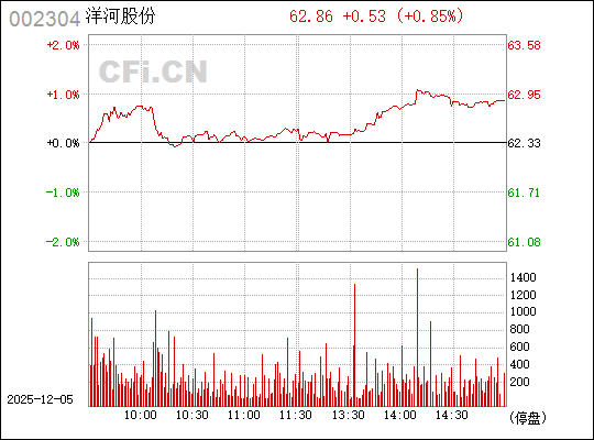 股票002304，深度解析與投資策略，股票002304深度解析與實(shí)戰(zhàn)投資策略探討