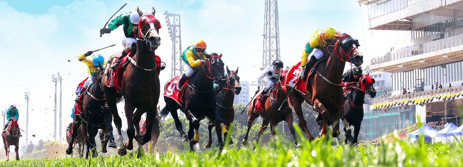 澳門賽馬會(huì)資料最準(zhǔn)一碼，深度解析與最新資訊，澳門賽馬會(huì)資料解析，最新一碼與深度資訊匯總