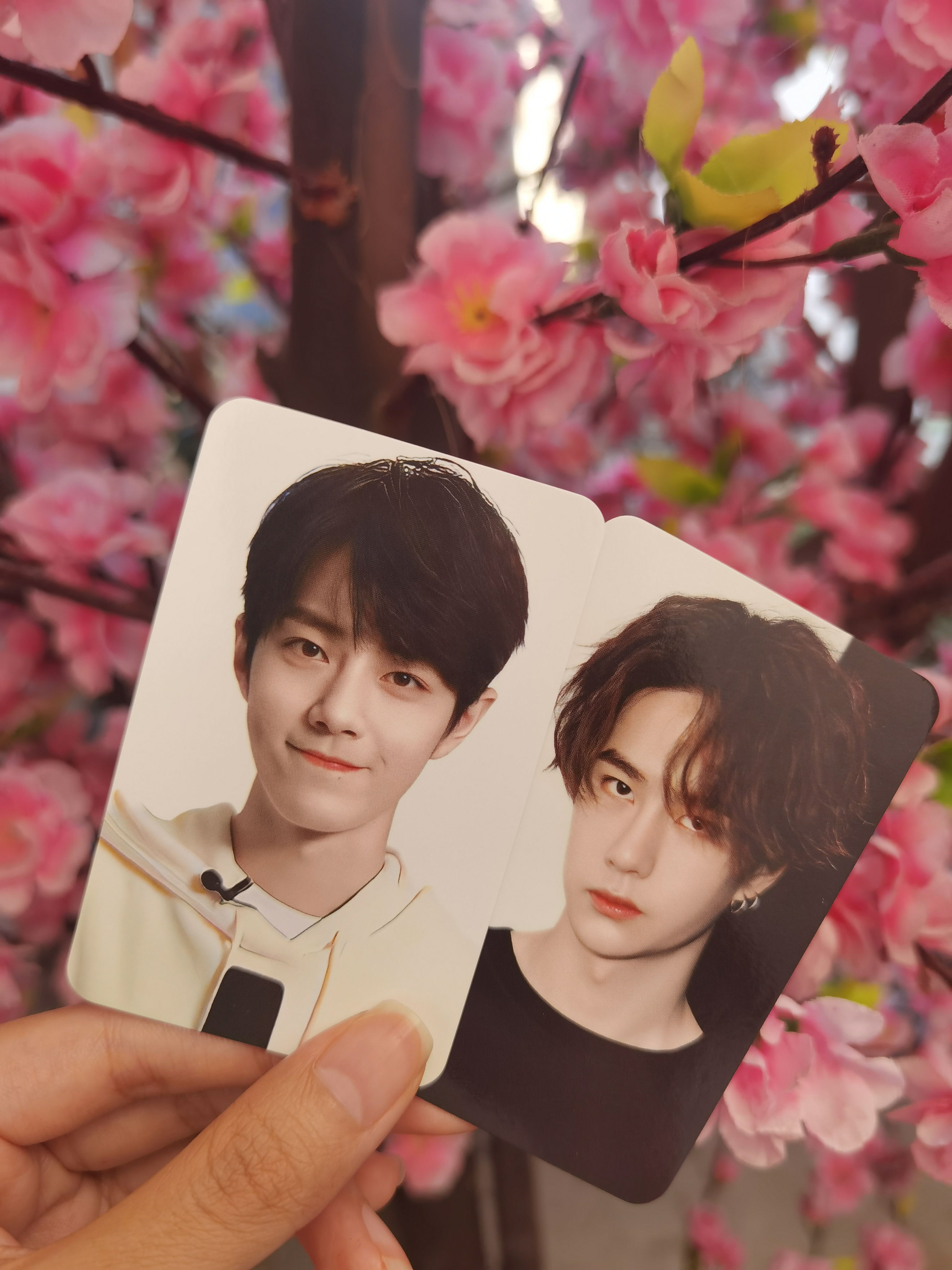 王中王一肖中特一肖精準(zhǔn)預(yù)測(cè)——揭秘生肖運(yùn)勢(shì)的秘密，揭秘生肖運(yùn)勢(shì)，王中王一肖精準(zhǔn)預(yù)測(cè)特選生肖運(yùn)勢(shì)秘密