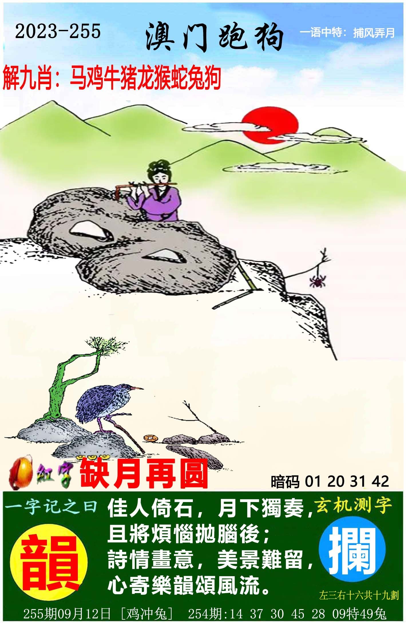 澳門六開獎結(jié)果特馬師——探索與解析，澳門六開獎結(jié)果特馬師解析與探索