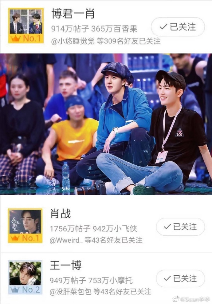 王中王一肖中特資料詳解，王中王一肖中特資料深度解析