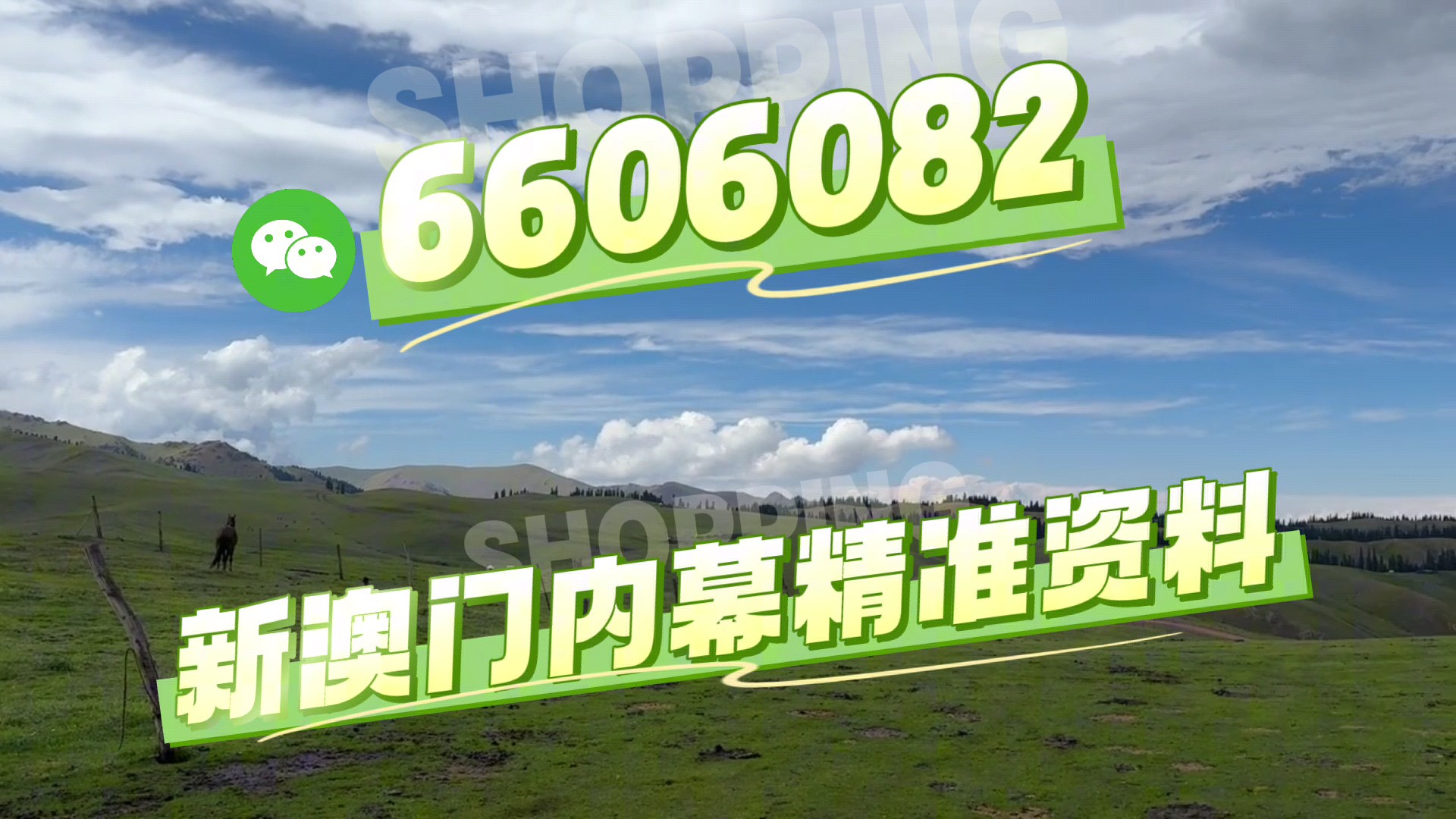 澳門必開一肖二碼，揭秘背后的秘密與策略，澳門必開一肖二碼揭秘，背后的秘密策略與預(yù)測(cè)技巧
