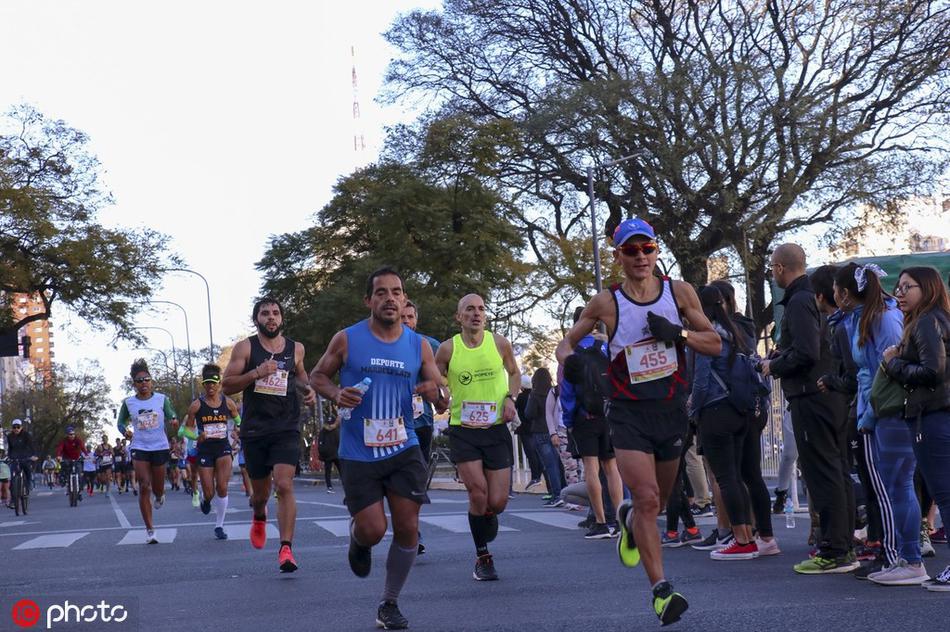 揭秘劉伯溫平特一肖圖，傳奇人物與神秘圖騰的交融，劉伯溫平特一肖圖揭秘，傳奇人物與神秘圖騰的交匯點(diǎn)