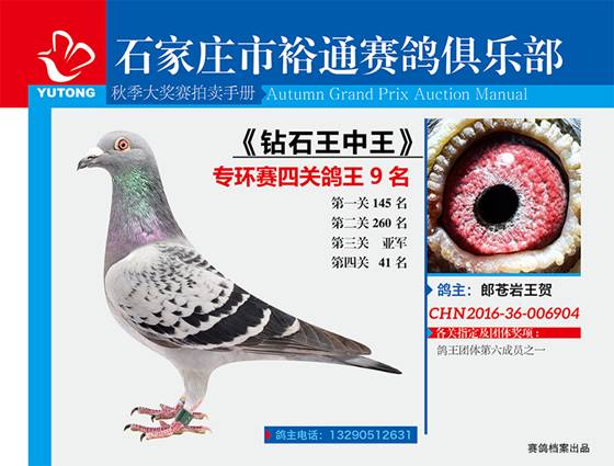 王中王一期一肖特中獎(jiǎng)，揭秘彩票背后的秘密與策略，揭秘彩票背后的秘密與策略，王中王一期一肖特中獎(jiǎng)解析