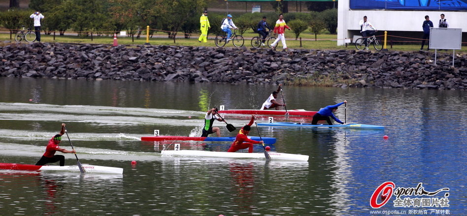 王中王一肖一馬期期中特，深度解析與SEO優(yōu)化策略，王中王一肖一馬期期中特深度解析與SEO優(yōu)化策略指南