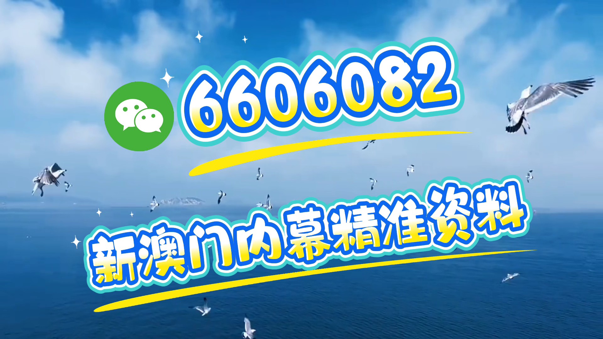 新澳門期期準，探索澳門的魅力與未來發(fā)展，澳門魅力探秘與未來發(fā)展展望