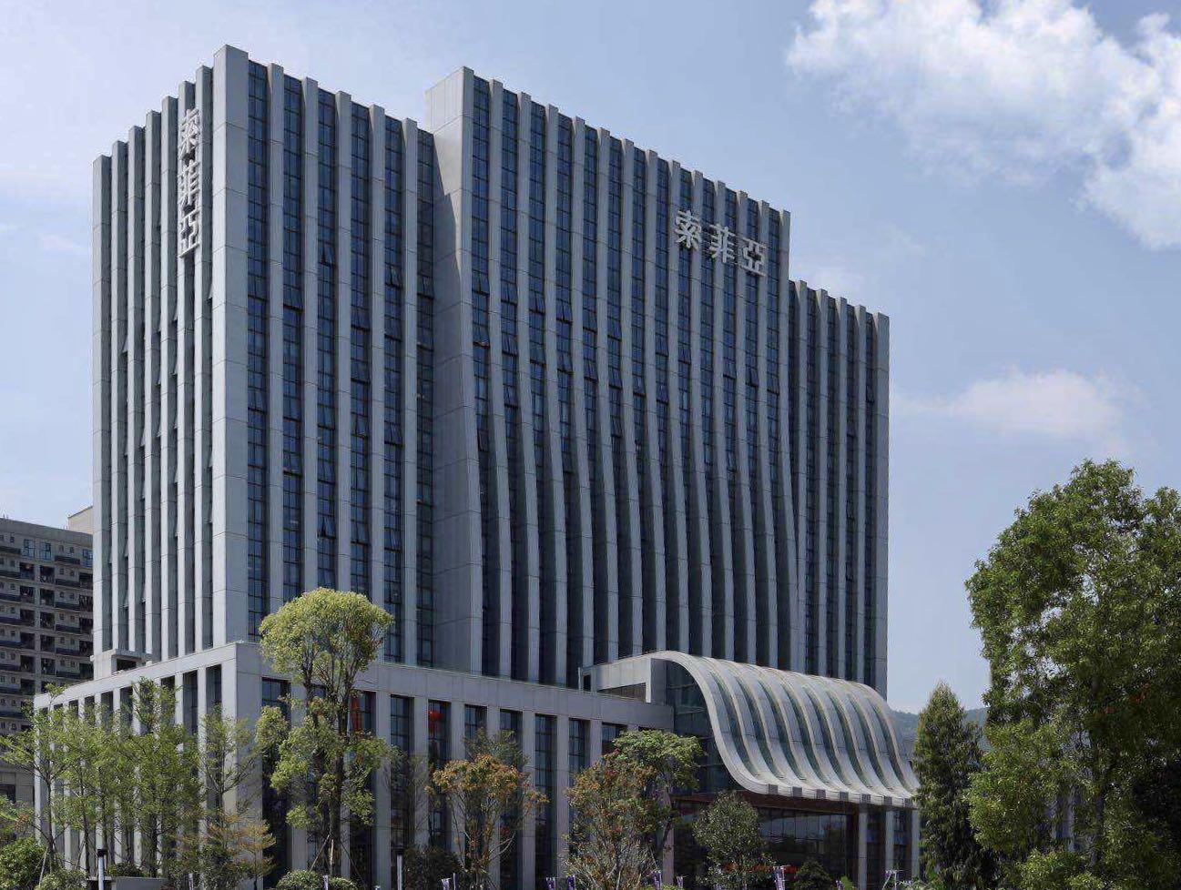 索菲亞，探尋品牌魅力與SEO優(yōu)化之道，索菲亞，品牌魅力與SEO優(yōu)化之旅