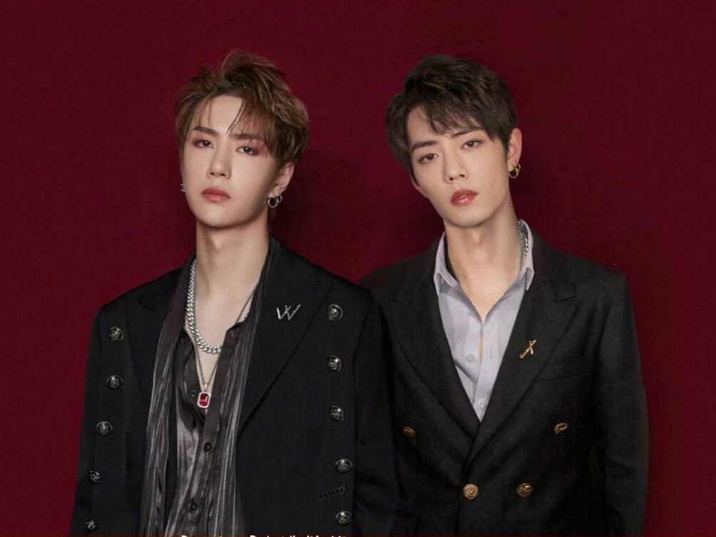 王中王一肖資料詳解，一探究竟的全方位解析，王中王一肖全方位深度解析，資料詳解與探究真相