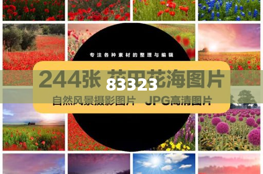 揭秘，2025今晚特馬開獎結(jié)果揭曉，揭秘，2025年今晚特馬開獎結(jié)果大揭秘
