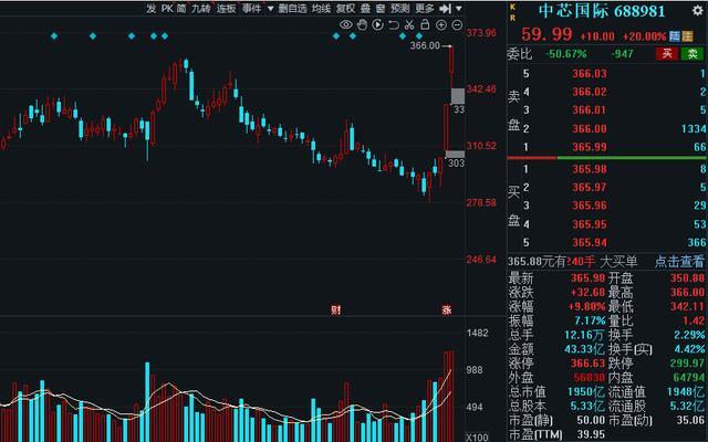 半導(dǎo)體龍頭股票，市場趨勢與投資前景分析，半導(dǎo)體龍頭股票投資前景及市場趨勢深度解析