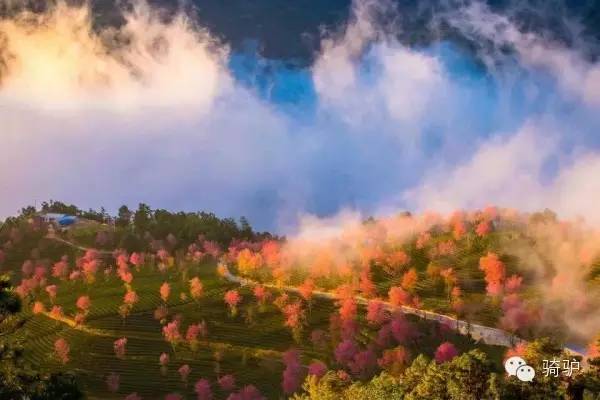 十一月與十二月，這些旅游勝地等你來探索！，十一月與十二月旅游勝地探秘之旅！