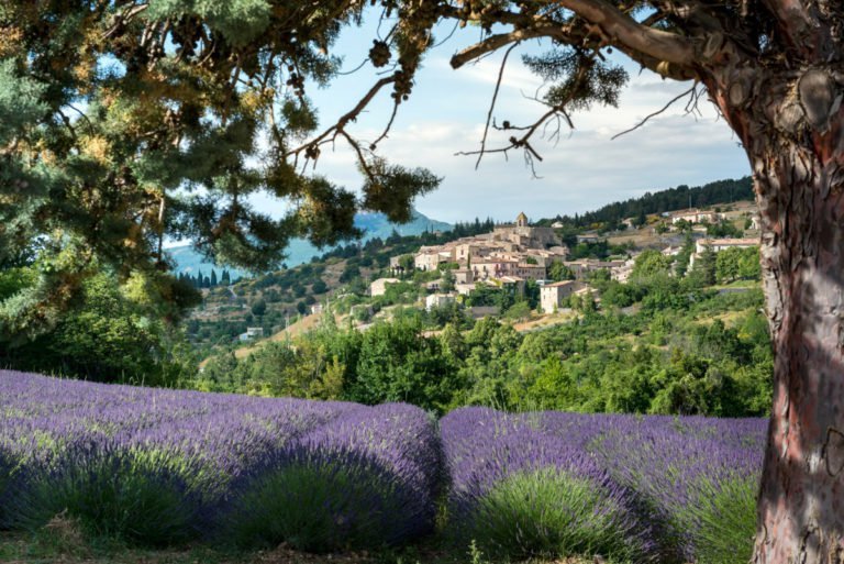 法國(guó)普羅旺斯薰衣草莊園，夢(mèng)幻般的紫色天堂，法國(guó)普羅旺斯薰衣草莊園，夢(mèng)幻紫色天堂之旅