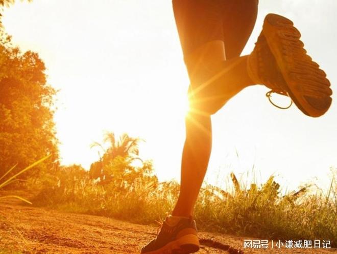 懶人福音！揭秘適合懶人的減肥秘訣，懶人福音，揭秘輕松減肥秘訣！